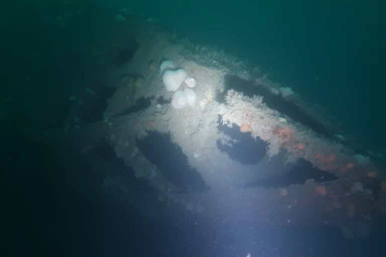 Baltimore_Ireland_dive_photo_1