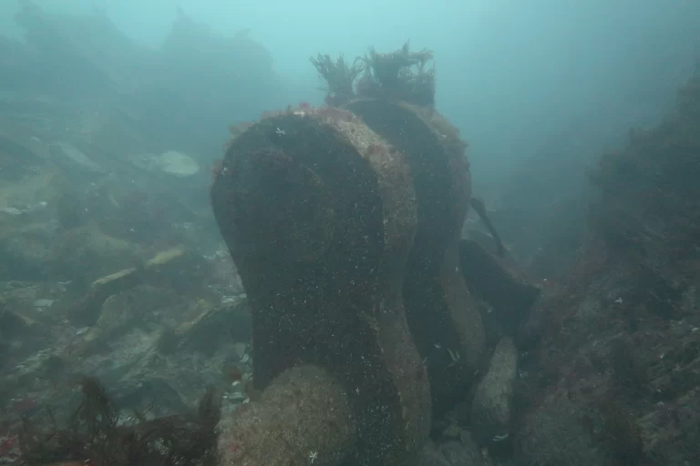 Baltimore_Ireland_dive_photo_12
