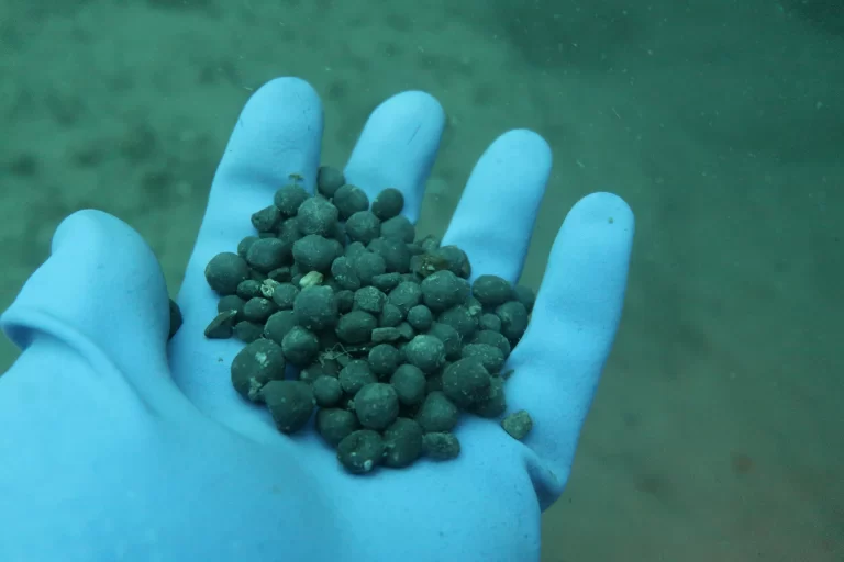 Baltimore_Ireland_dive_photo_13