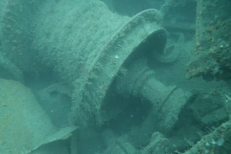 Baltimore_Ireland_dive_photo_14