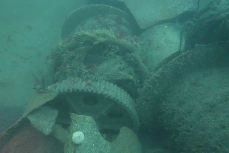 Baltimore_Ireland_dive_photo_15