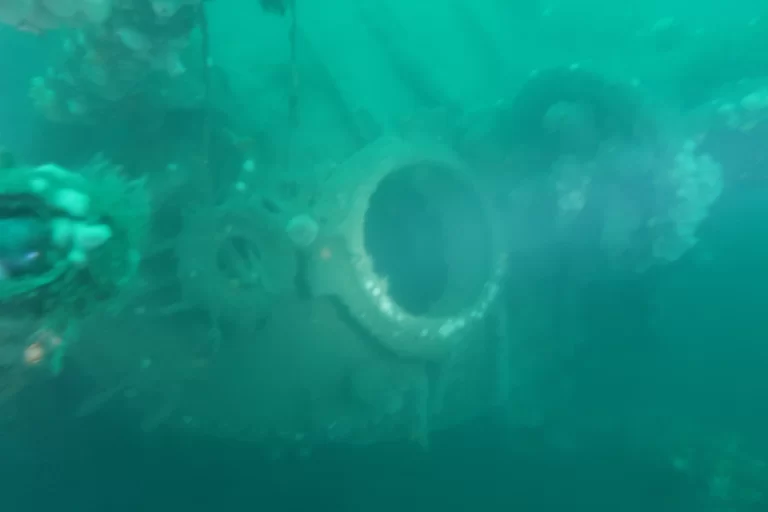 Baltimore_Ireland_dive_photo_3