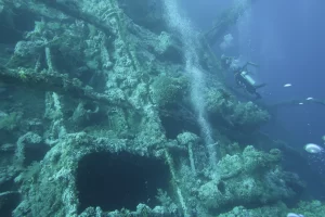 Egypt_2018_Dive_photo_12