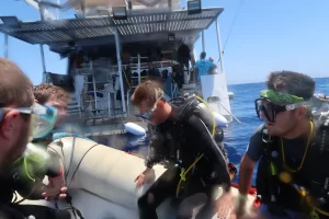 Egypt_2018_Dive_photo_13