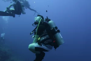 Egypt_2018_Dive_photo_7